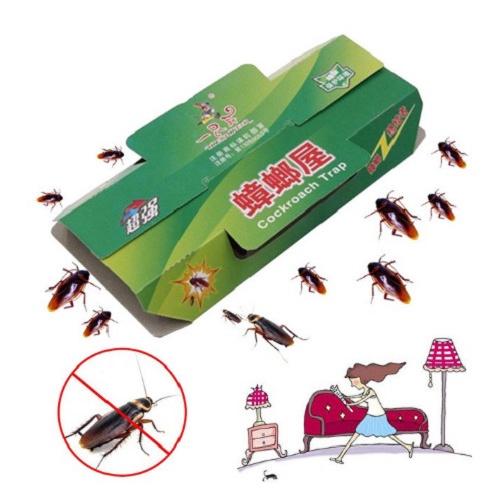 Jebakan Perangkap Kecoa Lem Kecoak Cicak Rumah Mirip Hoy Hoy pest obat Racun Kecoa