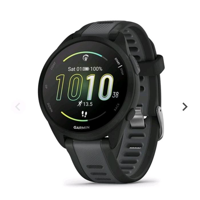 garmin forerunner 165 musik