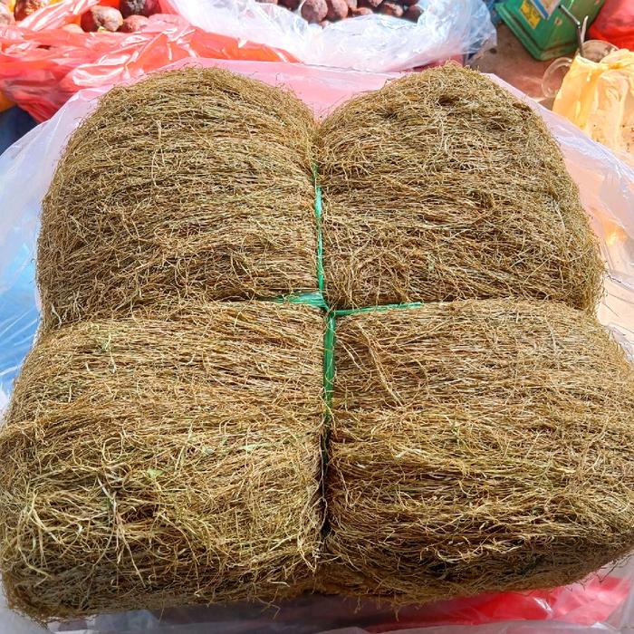Mbako batukarang, mbako gersing atau mbako kuning