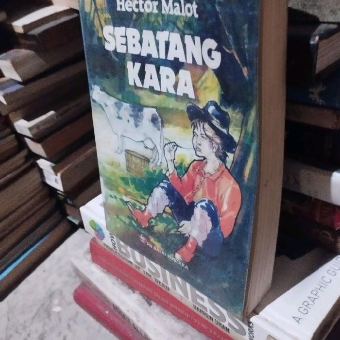 sebatang kara hector malot