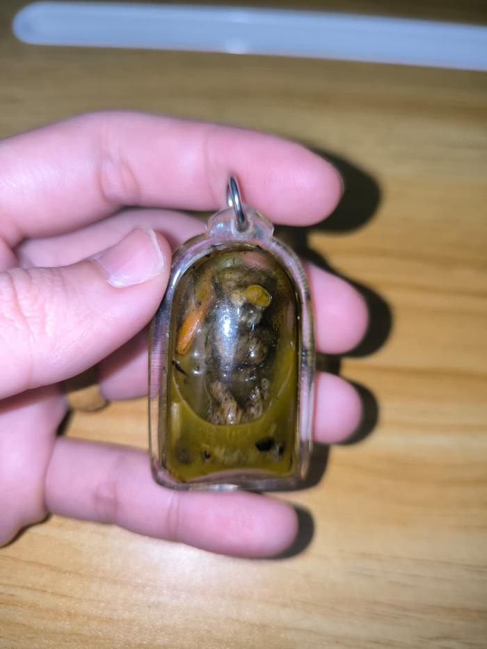 AMULET LERSI AJAHN O SAMINGPRAI TULANG MACAN - C0020