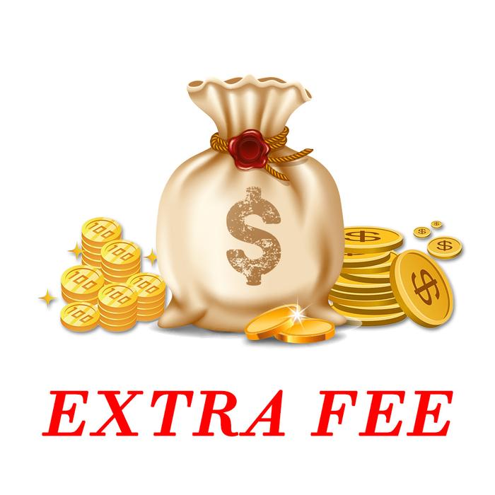 Extra Fee AliExpress Standard Logistics