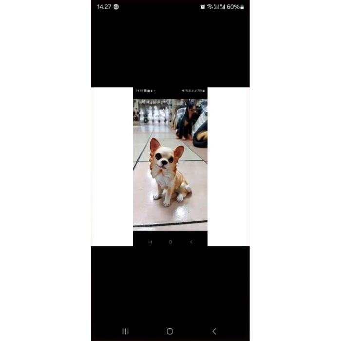 patung anjing cihuahua long hair pajangan doggy ciwawa dekorasi hiasan rumah
