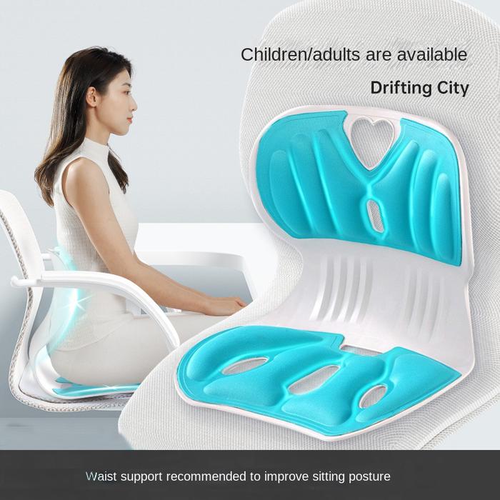 Sitting Posture Correction Chair Ergonomic Chair Back Support Lumbar