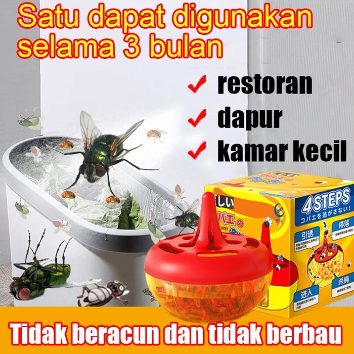 perangkap lalat buah pengusir lalat obat lalat buah pembasmi lalat racun lalat buah mengusir lalat C