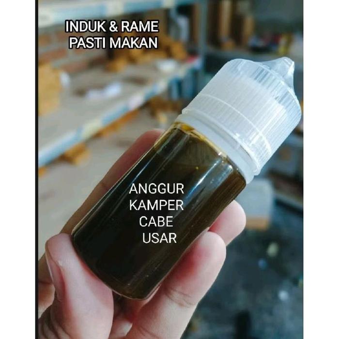 essen Oplosan Anggur Kamper Cabe Usar,essen paling bagus siang malam