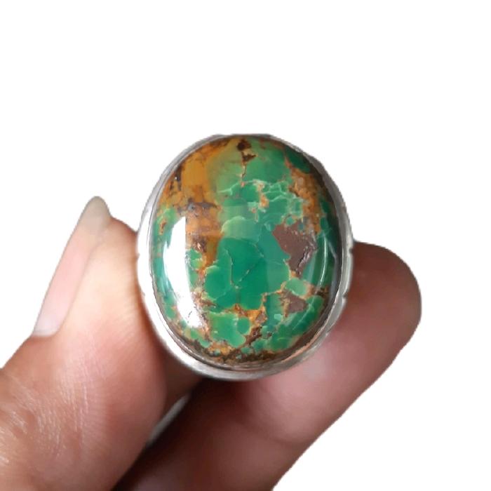 Pirus Persia Hijau Abdul Rozak asli