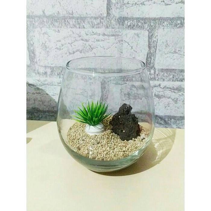 AKUARIUM MINI BULAT AESTHETIC / TANK CUPANG / AQUARIUM GUPPY / AQUASCAPE UNIK - AQUARIUM + HIASAN A