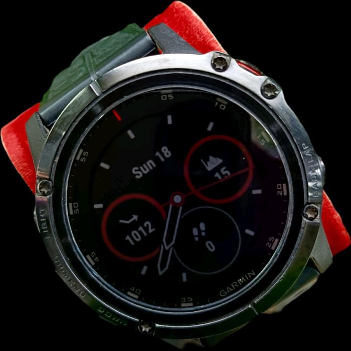 Garmin fenix 5 Plus Smartwatch Original