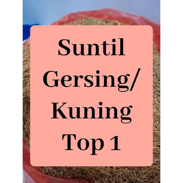 Suntil Gersing Batu Karang kuning Top  untuk makan sirih demban nginang