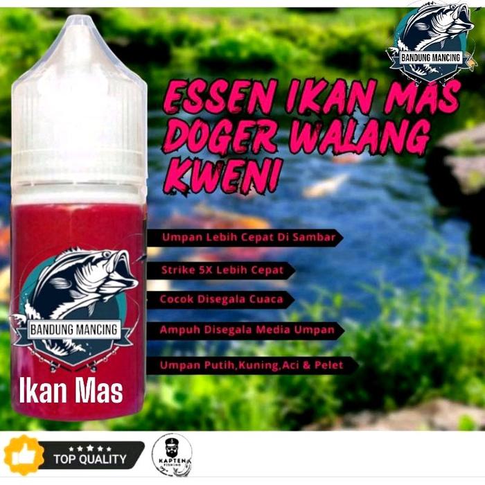 Essen Ikan Mas Oplosan Doger Walang Kweni Kualitas Biang