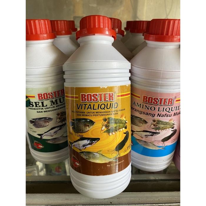 VITAMIN BURUNG MURAI BATU/VITAMIN OTAK BURUNG/MINYAK IKAN SALMON