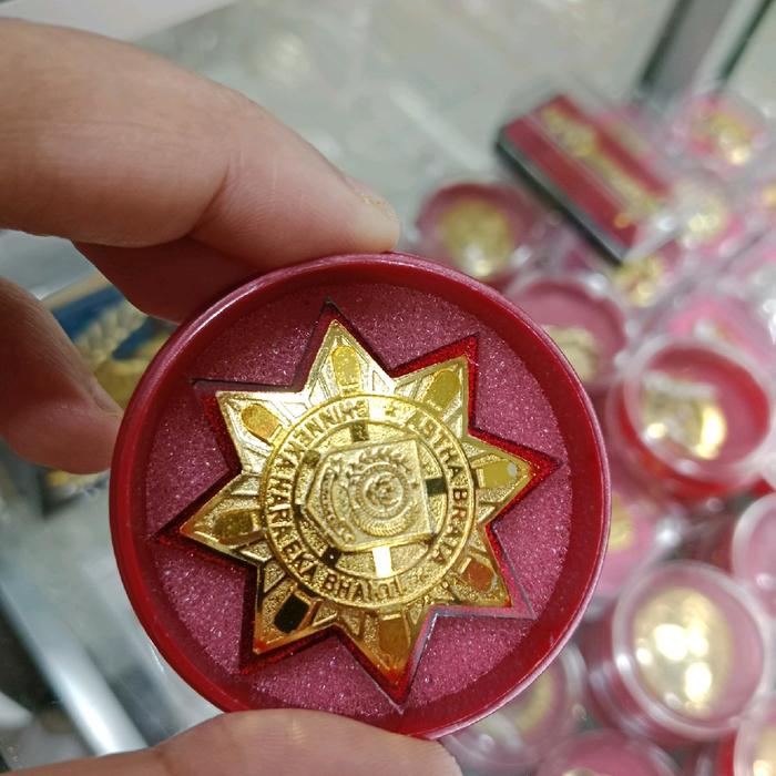 pin IPDN / pin ipdn mika maghnet