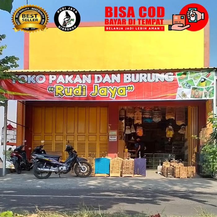 AVESSTAR AVES STAR NR-G NR G NRG JOSS BURUNG MACET LANGSUNG GACOR