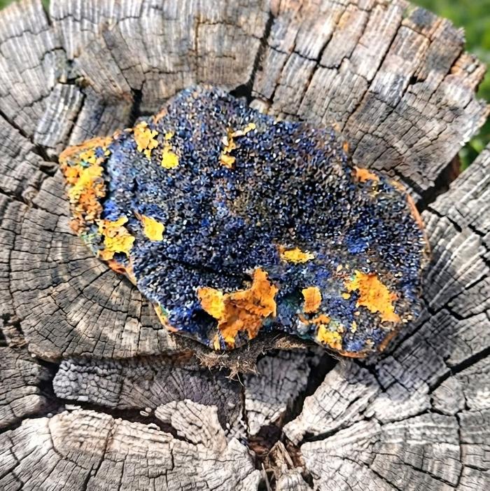 Deep Blue Azurite Druzy Sparkling Specimen Natural Gemstone Mineral