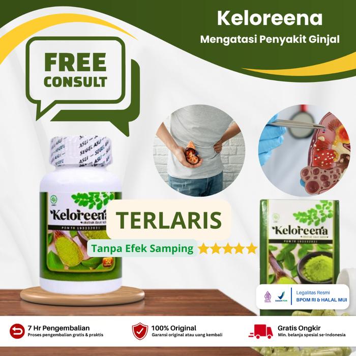 OBAT BATU GINJAL, OBAT GINJAL BENGKAK, OBAT GINJAL BOCOR, OBAT KENCING BATU SAKIT, OBAT INFEKSI SALU