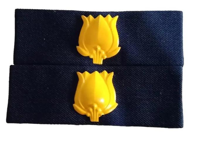 DIR ARMY TOPI PANGKAT MAYOR TNI