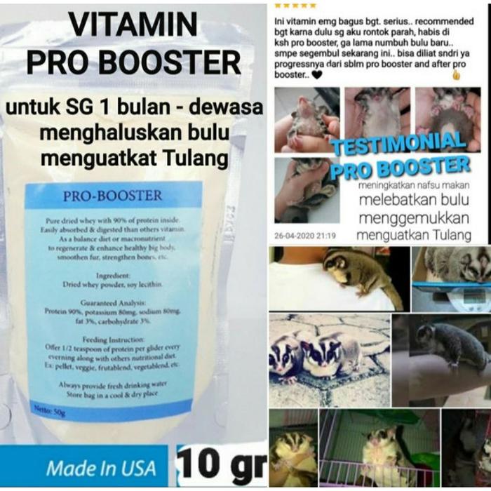 PRO BOOSTER protein hewan vitamin penggemuk sugar glider hamster dll