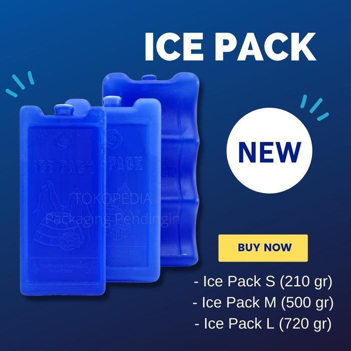 Ice Pack / Ice Gel / Ice Cool Pack / Blue Ice / Thermafreeze - Ice Pack S