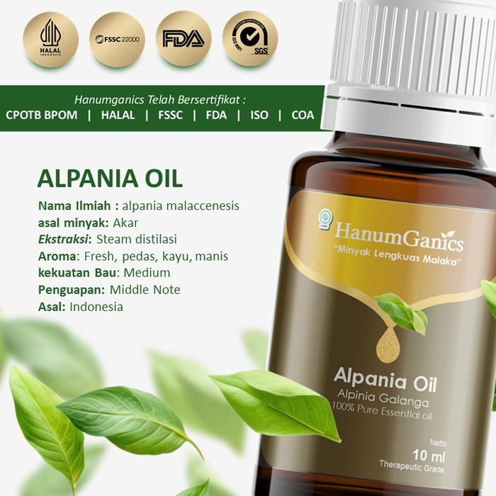 Hanumganics Alpania essential oil minyak lengkuas malaka 100% PURE murni therapeutic grade atsiri di