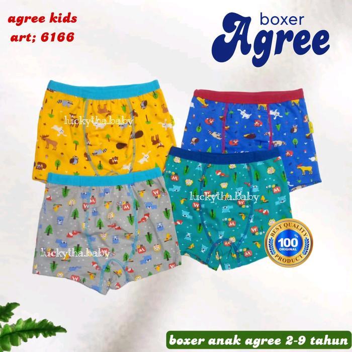 PREMIUM [2pcs] CD boxer anak 6166 warna karet lebar/ CD boxer Agree kids 6166/ celana pendek anak la