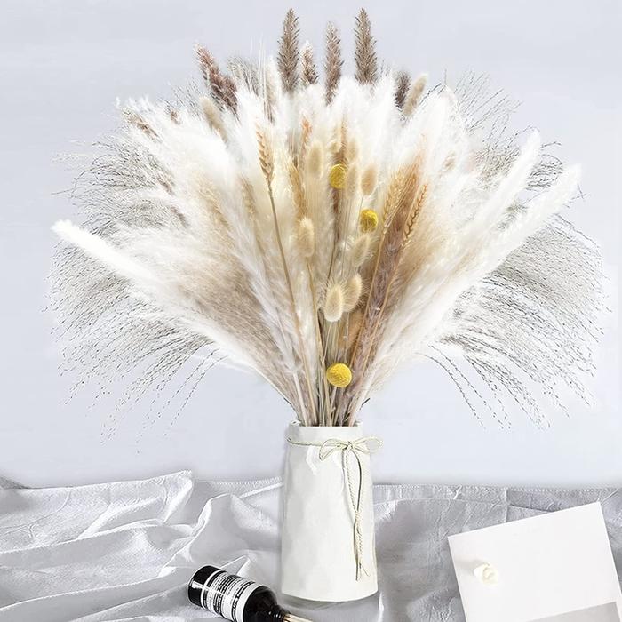 Natural Dried Pampas Grass White Pampas&Brown Pampas Reed Grass