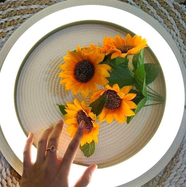 Ring linght premium led quality brain power