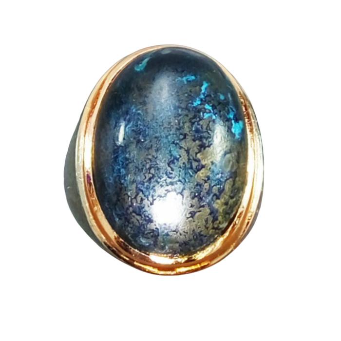BACAN DOKO HITAM COKLAT HARGA EKONOMIS BODYGLASS