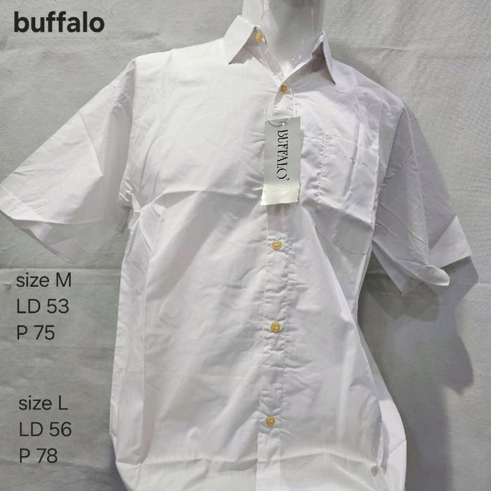kemeja lengan pendek putih polos buffalo