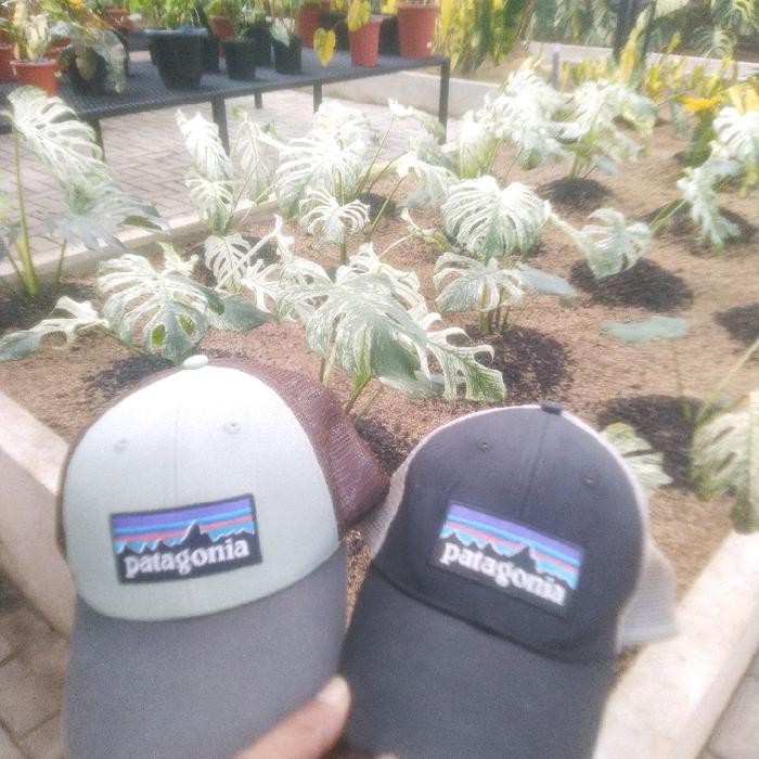 Topi second Patagonia "minus". Take all/borong 2 pcs