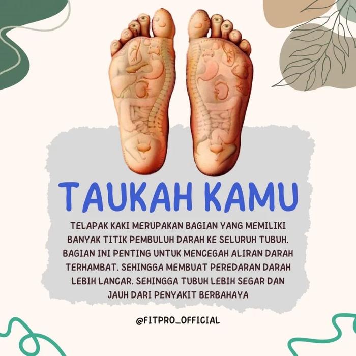 Sandal Fitpro Sandal Fit Fro Sandal Kesehatan Sandal Akupuntur Sandal Rematik Sandal Refleksi Origin