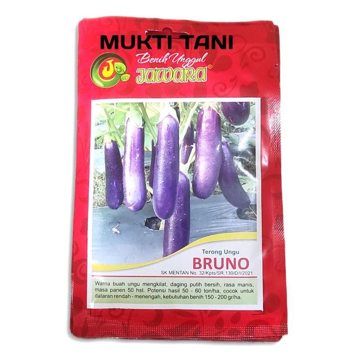 Isi 10 gram Benih Terong Ungu Bruno | bibit terong op jawara