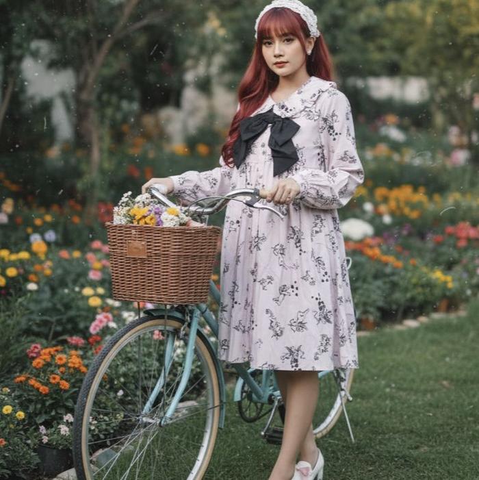 Ank Rouge Cupid Heart Perter pan Collar Lolita Dress