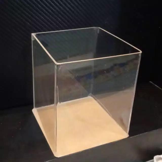 Soliter Akrilik Cupang Aquarium 1 Kamar 10 x 8 x 12 2mm FREE BUBBLE