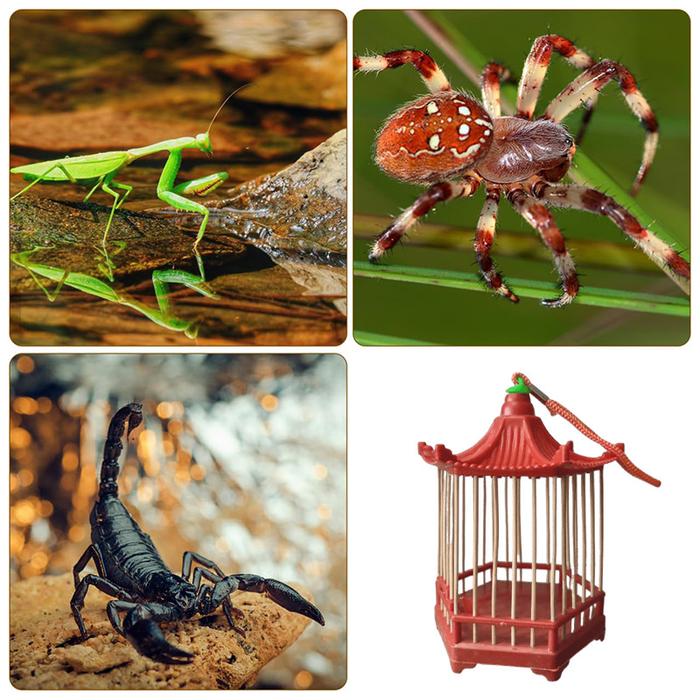 Kandang Jangkrik / Tower-Shaped Cricket Cage