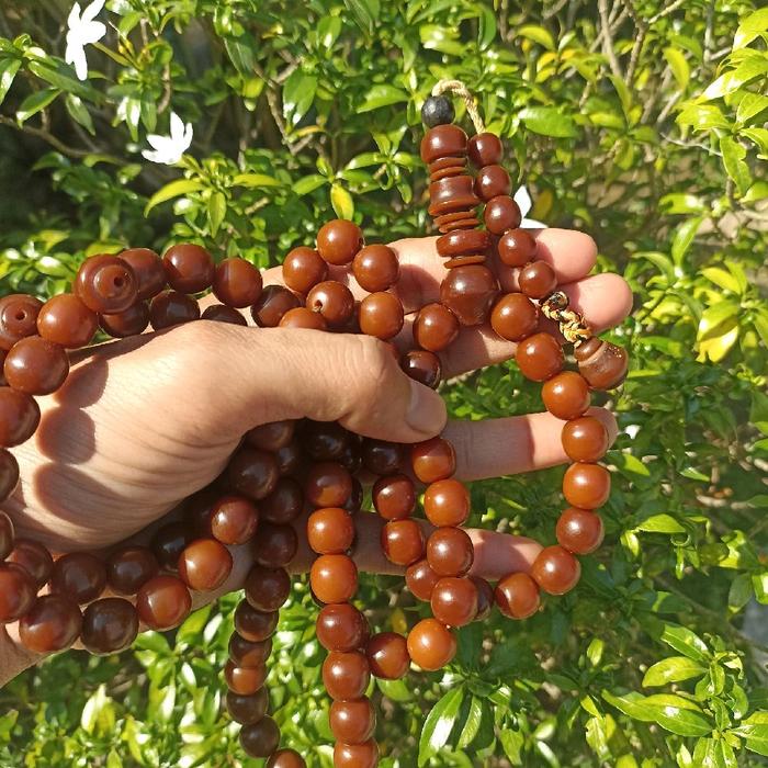 tasbih biji gebang cirebon bukan marjan yuser laut merah