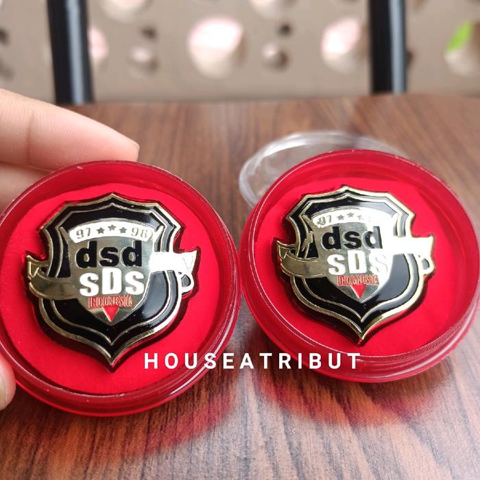 pin pdh letting dSdsDs | pin dSd sDs