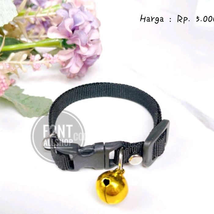 KALUNG, KALUNG KUCING, KALUNG KRINCING KUCING, KALUNG HEWAN PELIHARAAN