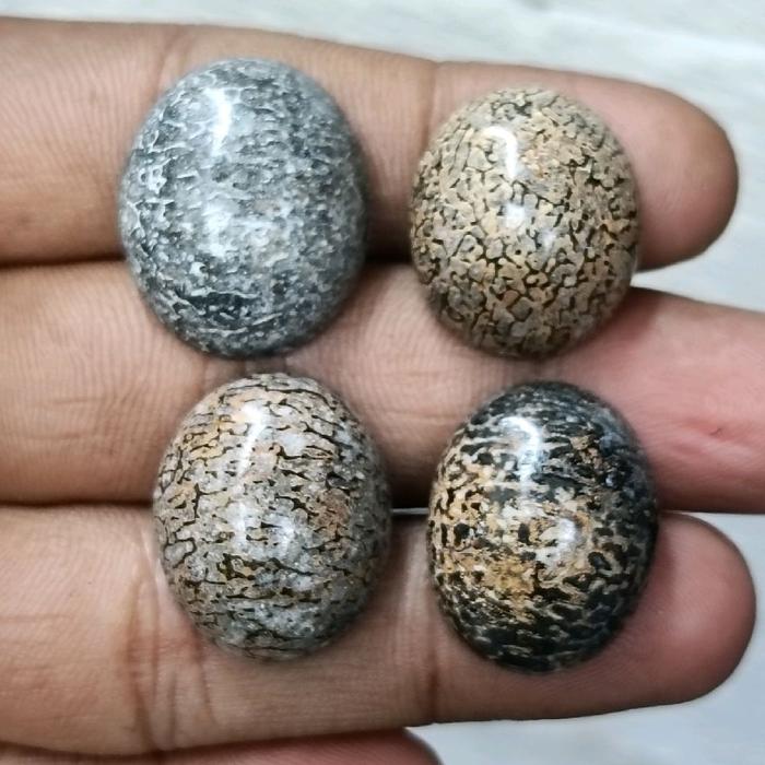 Original Batu Anti Wisa , Asli Cirebon