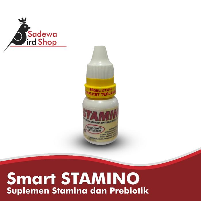 DOPING PLECI GACOAN vitamin tambahan pleci cepat gacor ngalas