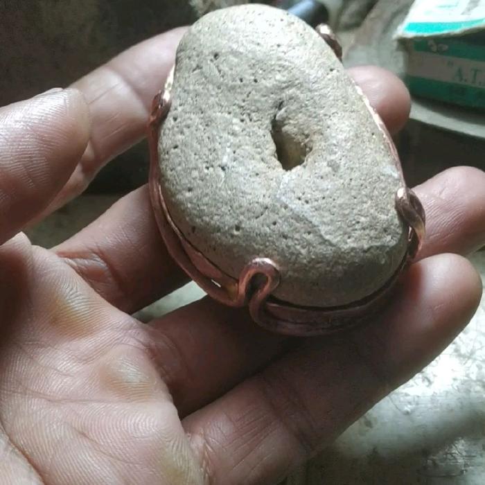kepala ikat pinggang batu combong fosil laut