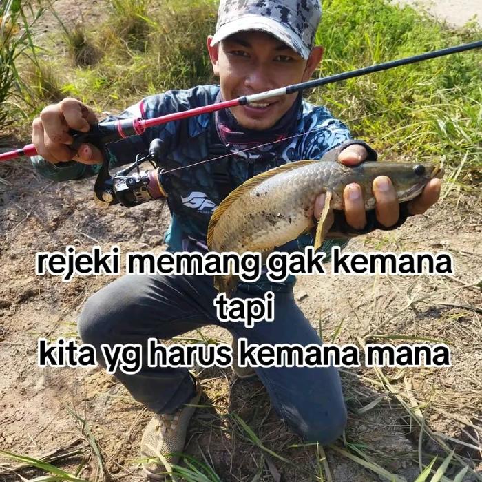 sofrog hoki 3cm berat 4 gram