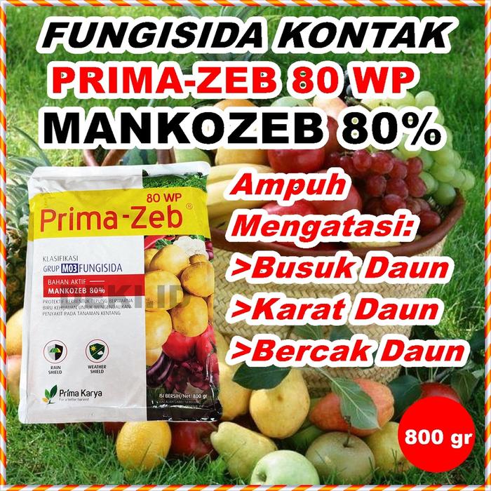PRIMAZEB 80 WP 800 GRAM FUNGISIDA KONTAK MANKOZEB PRIMA ZEB PEMBASMI HAMA JAMUR BUSUK DAUN TANAMAN B