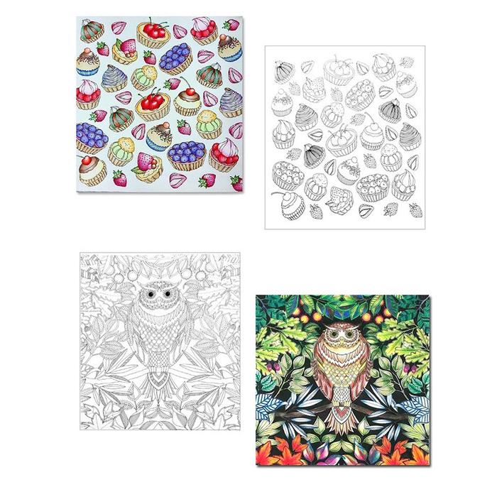 24 Pages Buku Mewarnai Dewasa Secret Garden Animal Kingdom untuk Penghilang Stress Coloring Book