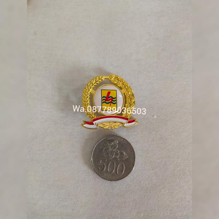 PIN PLN