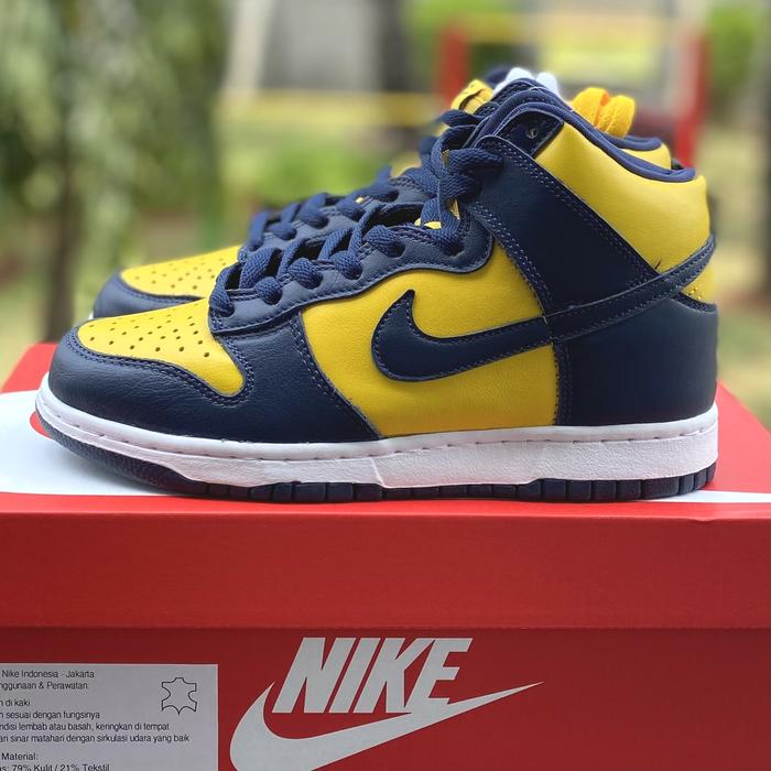 Nike Dunk High Michigan (2020)