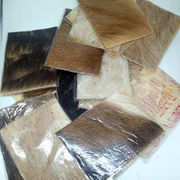 Grosir 20pcs Azimah wafak kujang rajah