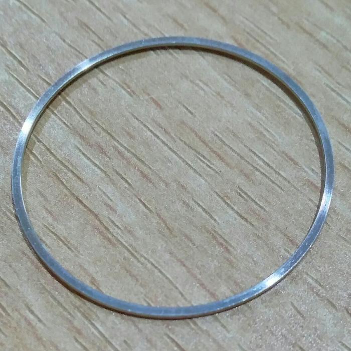 Ring dalam Kaca Vostok Amphibia