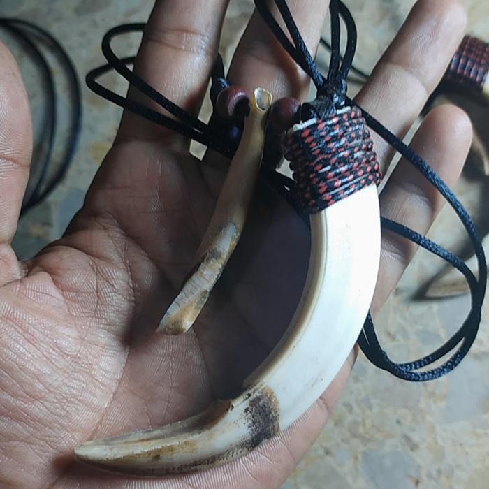 kalung taring babi hutan kombinasi gigi babi