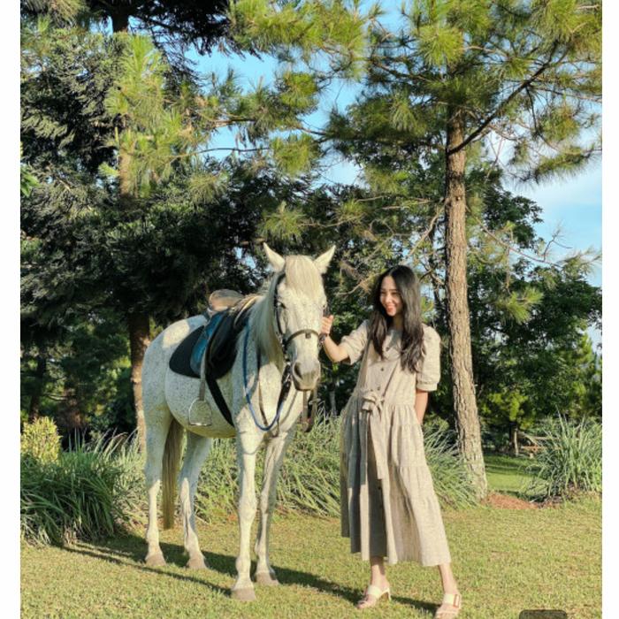 maven ophelia in rolled oat